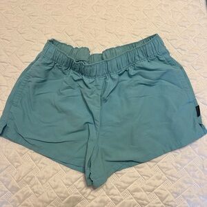 Patagonia Barely Baggy Teal Shorts